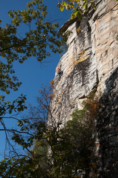 Zig Zag Man, October 2019