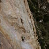 The young Marine on the sustained second pitch. Picture taken from Tail Tucker Arete.