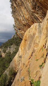 Mamba climb the lower Skyline of bright orange slab.