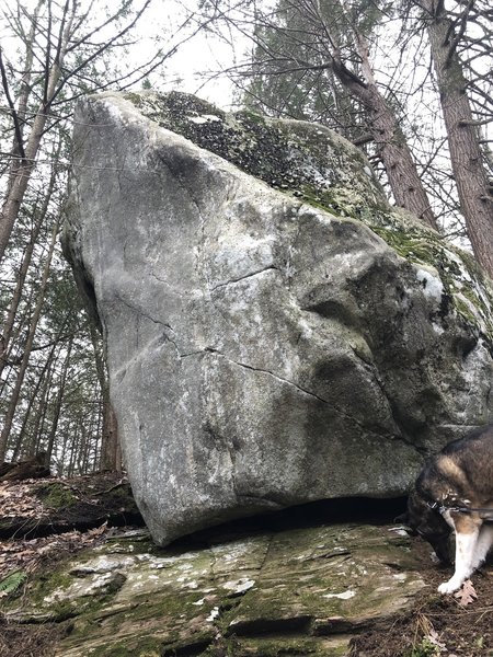 Typical rock texture