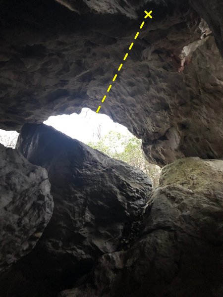 Looking up and out the birth canal