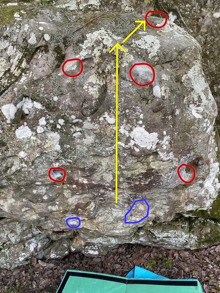 All the holds you need
<br>

<br>
Blue = Start Holds