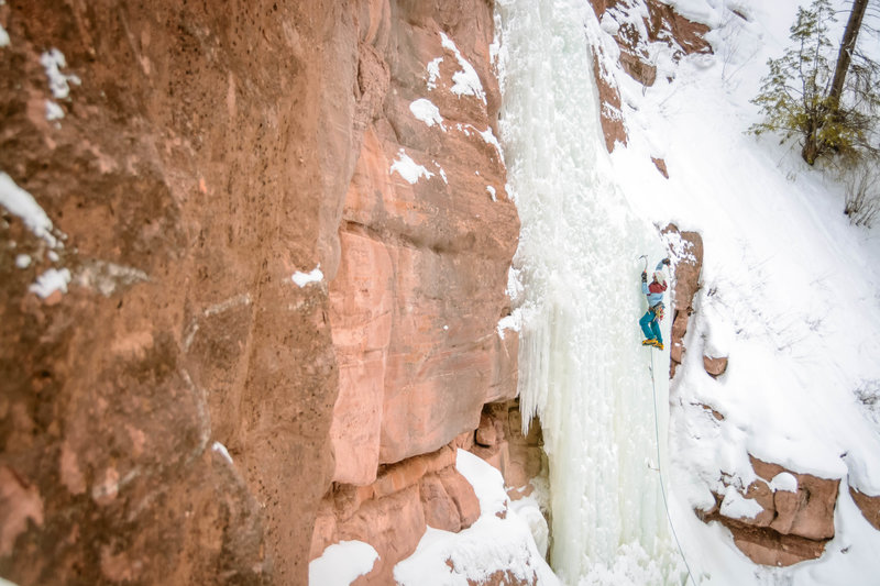 Will Fazio on the sharp end.