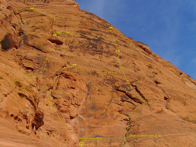 Starts for Gratitude (left) and Leopard Skin (right)