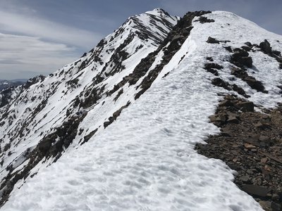 Higher on the ridge. 16 May 2020