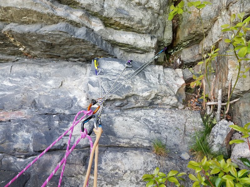 possible belay (next to small tree) at top of pitch 1