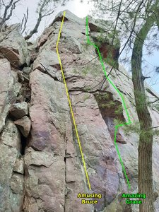 good view of Amusing Bruce aka Swartling/Mayer #17 and Knower #5.