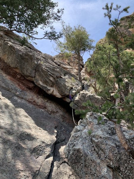 Mike Endicott, barely visible behind the tree, is leading an undocumented variant (5.9) of the chimney variation, on the south face of Like Heaven, May 6, 2020.