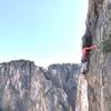 Tyler tiptoeing across loose flakes on the upper section pitch 9 or so, traversing left.
<br>

<br>
Photo by Mike Schneiter.