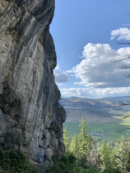 Above the Scott Valley