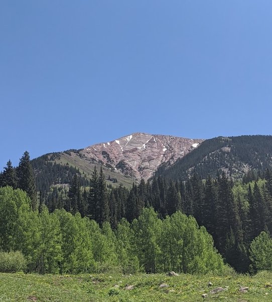 A view of Avery Peak from the Avery Peak Campground. Note the snow from an early June snowstorm.