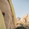 Great Climb. Photo by Sarah Handrahan