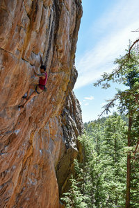 Arthur on Branching Out.