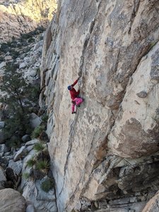 Cedar onsight soloing Tax Man on a ropeless Half Dome day! Feb 20, 2020