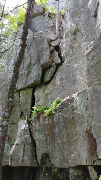 The photo shows the fist crack of Iron Fist to the ledge with ferns and the first part of Captain trad up the blocks to the optional belay tree near the top of the photo.