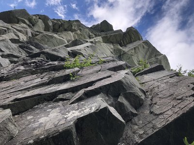 View of the Nutrasweet/First Flight start.