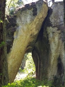 Greenman Arch