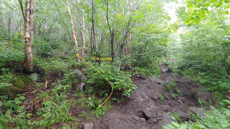 Trail to 'la coulée'. Leads to Gruyère and roofs. Connects to Wet dream and Tache blanche (longer).