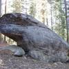 Unexamined boulder in the campground with a few potential projects