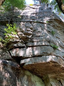 Mickey's Mantle in center of photo, Micro Gully a few feet to the right...  ending at the tree trunk on top of cliff