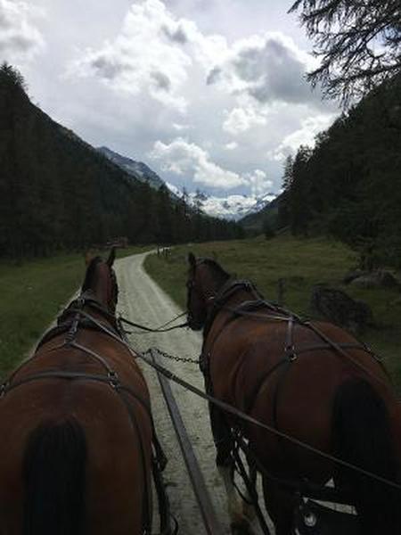 Approaching Piz Bernina and the Tschierva Hut in style.