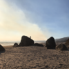 Smoke plume from Point Reyes fire. Looking north from Old Man boulder.
<br>
August, 2020