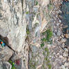 Me chicken winging through the crux on Iron Maiden with a new BD#8 keeping me cozy. Photo credit and big cam owner: Shane Steele