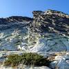 South face of Harrison.  Standard route is left of center climbing up to the notch at top right of picture.