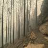 Trail to the Clock Tower after the Archie Creek Fire