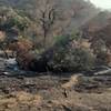 The LNU lighting complex fire scorched much of the area around the boulders but it seems the boulders themself weren't damaged. I will provide more updates soon