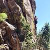 Aclimber named Zack, from Wyoming, on a route on Lumpe Tower, most likely.