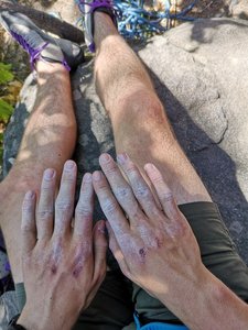 my four favorite knuckles four days after running them through the Grinder. protect your meat!