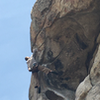 John Culberson sending the crux.