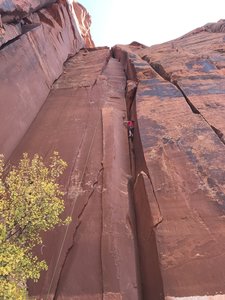 Diet Coke on right, public offender on left