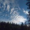 Herringbone sky, Snow Valley Area