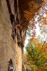 "The World Turned Up-Side Down?" -Hamilton