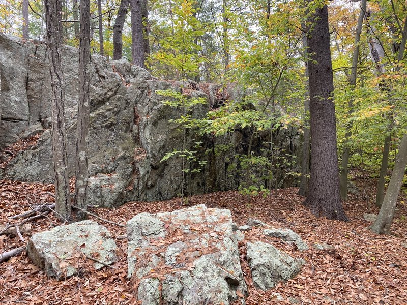 Boulder Lane Wall.