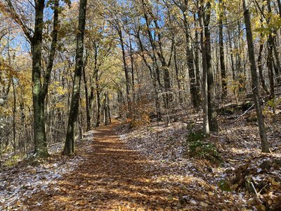 Happy Halloween 2020 from the gorgeous hike in to Rose Ledge.