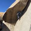 Anthony Lee pulling into the chimney after sending the crux in true crusher fashion and taking a kneebar rest