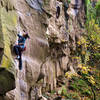 Briana climbing "Under the Yum Yum Tree" on a rainy November afternoon