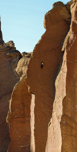 Tara Kerzhner on To Bolt<br>
<br>
Artem Vee photo