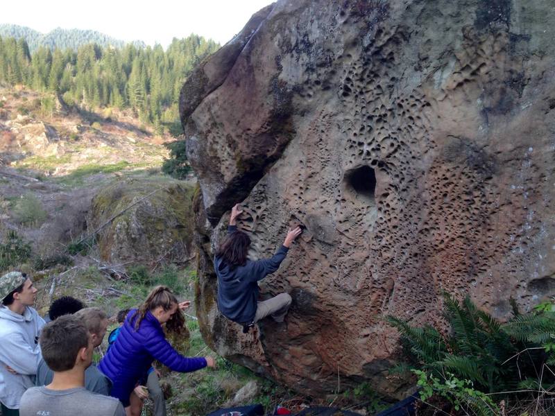 Crew wandering around The Clearcut playing on the Scatterplot Boulder.