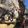 Josh H. on the start moves of the new 5.11a route.