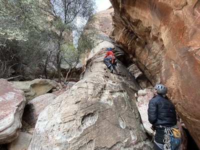 The start of the first pitch of Olive Oil.