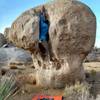 Mushroom Problem (V0-), Joshua Tree NP