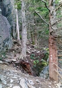 Fixed line that leads from Headlight to Mirror Wall.