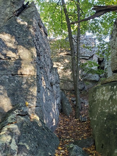 A boulder problem on left with a clean landing zone