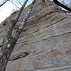 Ethan crushing on the Flock. Using the tree to chimney up the first half of the route definitely makes it easier.