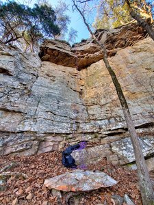 Cashmere from bottom