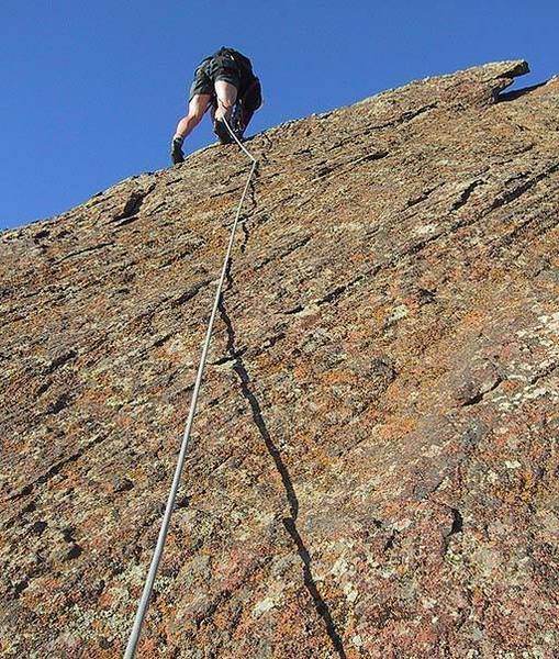 The steep face above the ledge with the small fir tree.